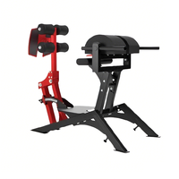 Équipement de musculation en gros, appareil d'entraînement complet réglable, développeur de fessiers et de l'hampe tibiale, machine GHD, chaise romaine, développement des fessiers et de l'hampe tibiale