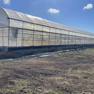 High Quality <strong>Agricultural</strong> Multi-span Hot-dip Galvanized Pipe Structure Greenhouse with <strong>Shading</strong> <strong>Net</strong> - Product Image 2