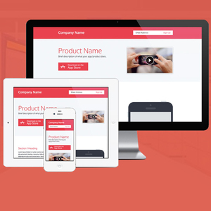 Best Wholesale Website <b>Development</b> Company in India | Award Winning B2B Wholesale Web Design & <b>Development</b> Services by Webroot - Product Image 5