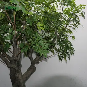 Árbol de madera de laca artificial Rhus Vernicifera árbol de decoración para parque temático Proyecto de ingeniero escuelas Hospital biblioteca museos