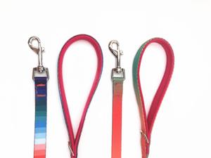 Collar y correa de neopreno suave para mascotas, cadena de correas para perros de alta resistencia, correa para mascotas, rampa de gradiente, correa para perros bonita para la venta caliente - Product Image 2