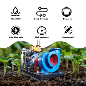 10-<strong>inch</strong> Mixed-flow <strong>Pump</strong>, 15-horsepower <strong>diesel</strong> Engine Irrigation <strong>Pump</strong>, Agricultural Irrigation System - Product Image 6