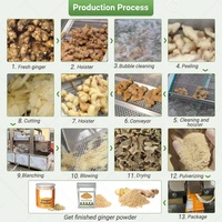 Ligne de production industrielle automatisée pour le traitement à sec du gingembre séché, mini-machine à oignon, production automatique de piment en poudre