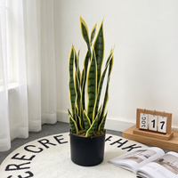 Plante Serpent Artificielle Sansevieria Petite en Pot Plastique Écologique Verte Jaune Décoration Intérieure Maison Noël Remise de Diplôme