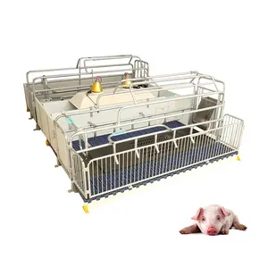 Farrowing Crate Trough Sow Gestation Bed Sow Beds Pig Farmig Equipments 2 Sows Farrowing Crate Pig Sow Farrowing Crate/Pen