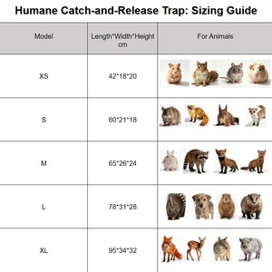 Piège à animaux vivants de 65 cm - Cage pliable en acier galvanisé pour attraper et libérer chats, ratons laveurs, renards, avec poignée de transport portable - Product Image 6