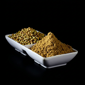 Poudre de Dhaniya Indienne Fraîche Nouvelle Récolte Épice Séchée Aromatique 100% Pure Gujarat Marque Internationale FitTree Global - Product Image 1