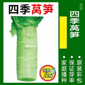 ผักพันธุ์ดี ให้ผลผลิตสูงและออกผลเร็ว เหมาะสำหรับปลูกตกแต่งสวนดอกไม้ - Product Image 6