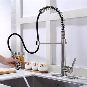 <span class=keywords><strong>Grifos</strong></span> <span class=keywords><strong>de</strong></span> fregadero <span class=keywords><strong>de</strong></span> cocina <span class=keywords><strong>de</strong></span> palanca única, contemporáneo, OEM, <span class=keywords><strong>grifos</strong></span> extraíbles, barra <span class=keywords><strong>de</strong></span> utilidad <span class=keywords><strong>de</strong></span> lavandería <span class=keywords><strong>de</strong></span> satén <span class=keywords><strong>de</strong></span> primavera - Product Image 3