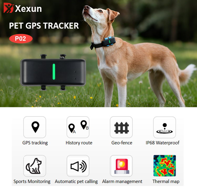 smart pet collar with health monitoring