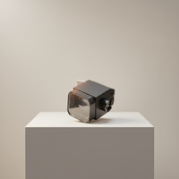Module optique de viseur électronique OLED de 0,4 pouce 1440 * 1080 |   Viseur à dioptrie réglable pour appareils photo HD et professionnels