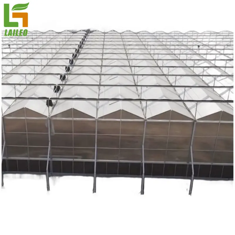 OEM ODM Manufacturer Aluminum Frame Garden Greenhouse Polycarbonate Greenhouse