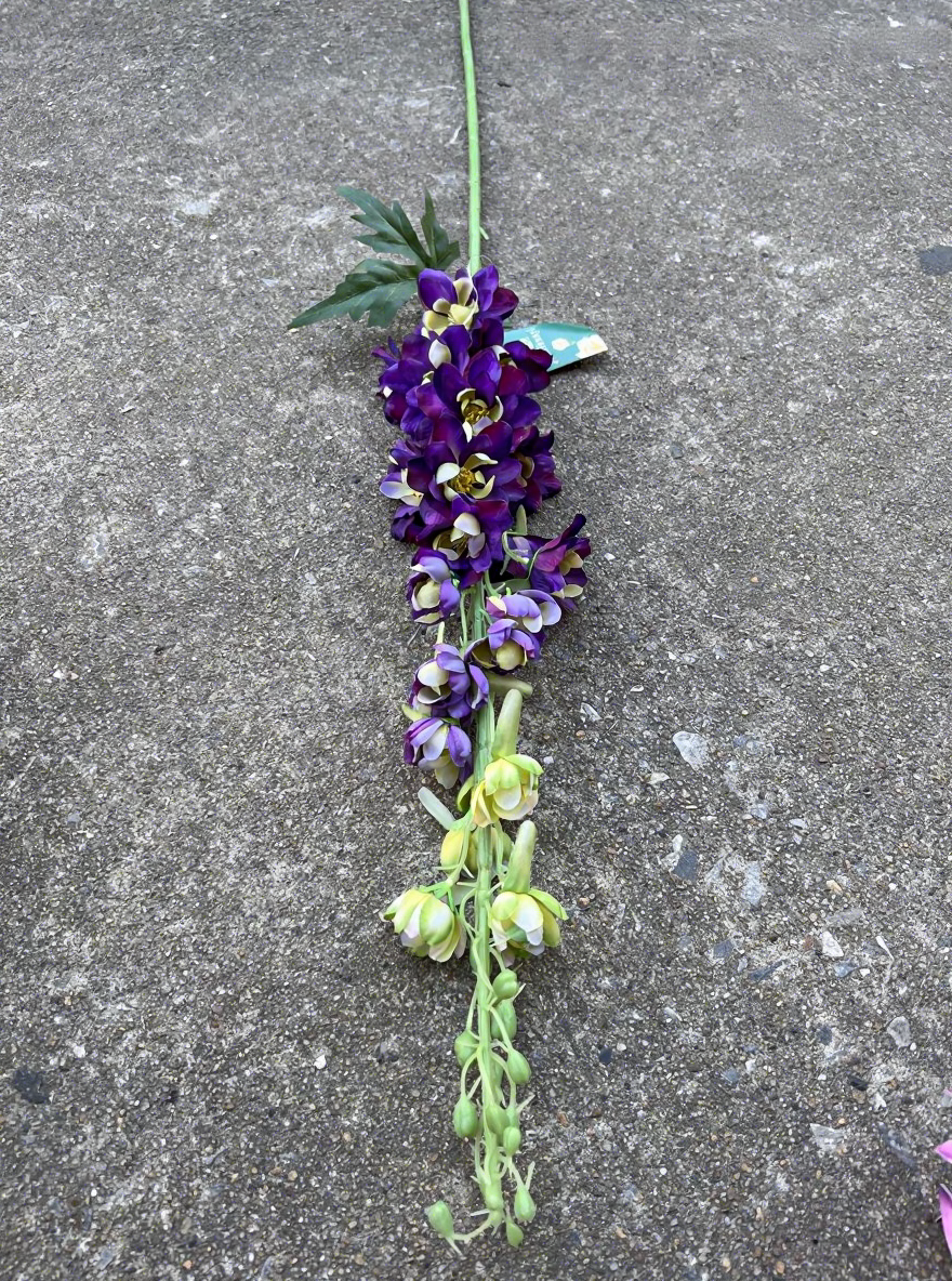 13# Kenya, grand delphinium, violet foncé