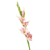 Fleurs artificielles Gladiolus en PU de haute qualité, arrangement floral pour la maison, décoration de mariage, faites à la main, réalistes, longue durée