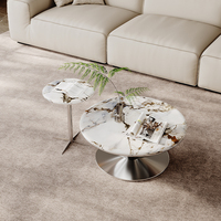 Ensemble de table basse ronde moderne en 2 pièces, plateau en marbre naturel avec base en acier inoxydable poli