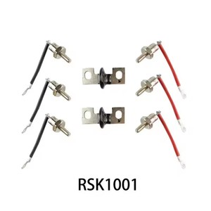 Módulo Rectificador Shaluo Rsk1001, Diodo, Varistor, Generador Rotatorio para Uso Automotriz - Product Image 1