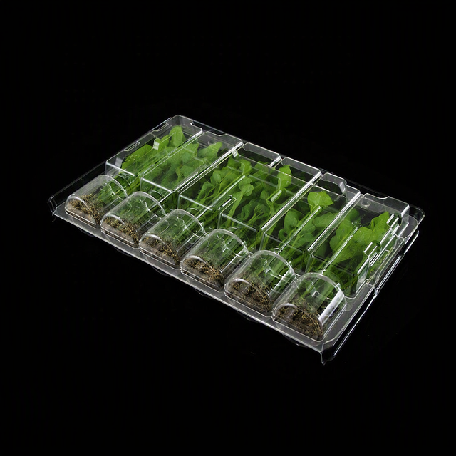 Plant Blister Shipping Box   Custom Plant Blister Shipping Box RPET Recyclable Plant Blister Box
