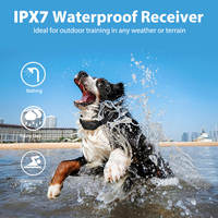 2026 NEUES Hochwertiges Hundetrainings-Schockhalsband IPX7 Wasserdicht TPU Umweltfreundlich 4921FT 1500M Fernbedienung für die Jagd