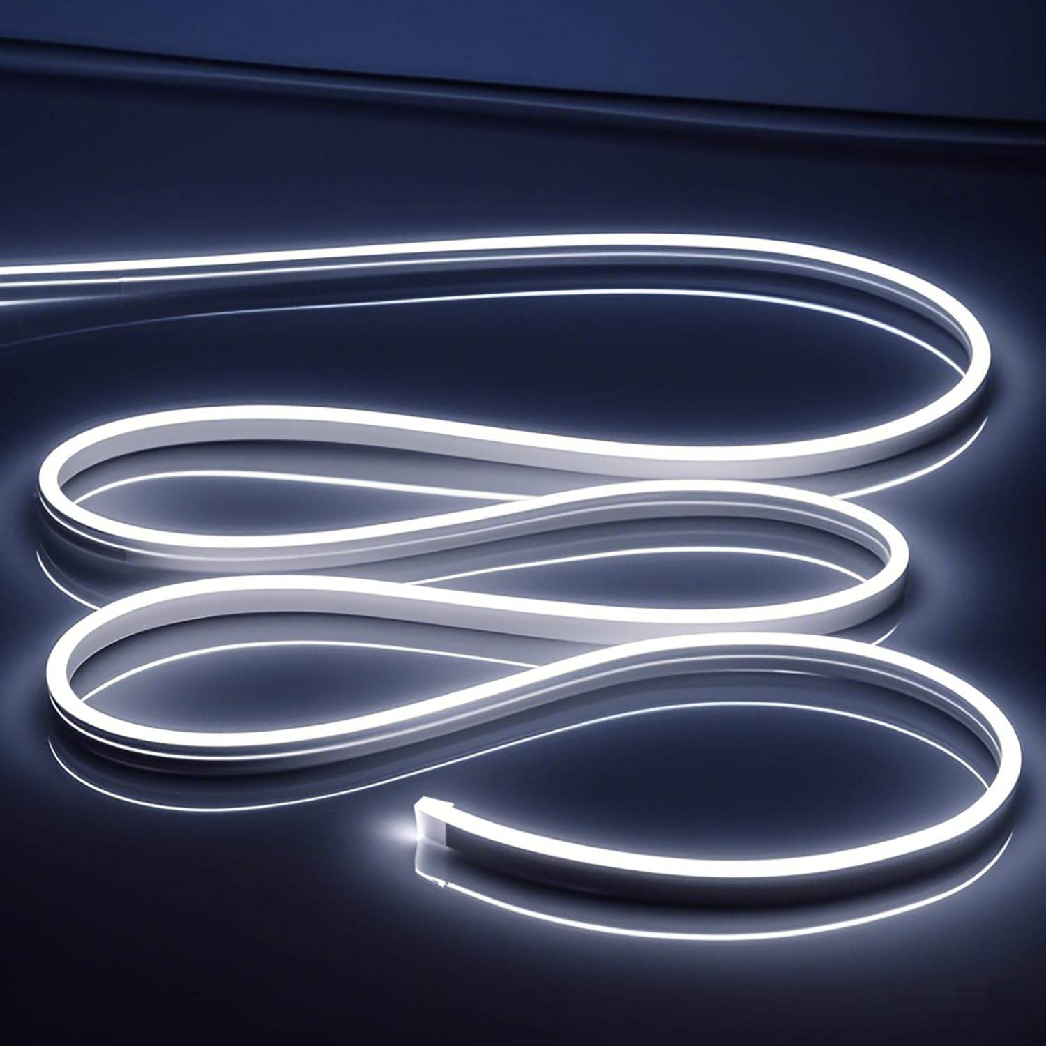 Neon Lights With Landscape Lights Can Be Used for Store Weddings and Parties With a Length of 1m/10m/20m/30m LED Light Strip