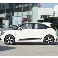 Modelo 2024 Nano 01, Auto Eléctrico Pequeño, Confiable y Duradero, Vehículo de Nueva Energía, Certificado EEC/COC