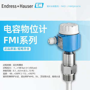 Instrument de mesure de niveau capacitif série FMI E+H Endress+Hauser, instrument de mesure d'interface, original, industriel, fabriqué en Chine - Product Image 6