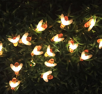 5M 20LED
