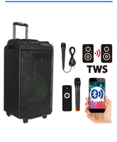 Feiyang, altavoces con carrito de madera de 12 pulgadas, amplificador Bluetooth profesional TWS, bocina de guitarra inalámbrica, deflectores de música