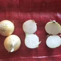Verse groothandel Chinese rode/gele uien, goedkope prijs, import export, verse witte knoflook en leverancier van verse uien