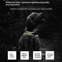 Collier pour chien anti-traction en nylon doux et confortable, style dessin animé, réfléchissant et réglable – Meilleure vente transfrontalière