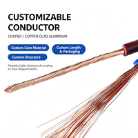 BV CCA Elektrokabel 450/750V PVC-Isoliertes Massives Kupfer-Aluminium-Hausverdrahtungskabel