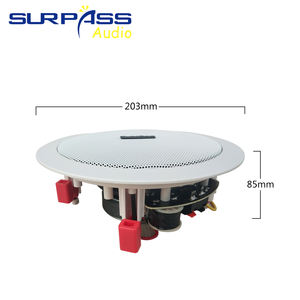 PW230 + C520H sistema Audio domestico WIFI blu-troppo amplificatore MUZO apparecchi di controllo Radio a filo con altoparlante a soffitto - Product Image 5