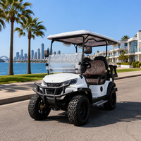 Voiturette de golf électrique à batterie lithium 60V ; Personnalisation gratuite du logo et de la couleur ; Idéale pour les visites dans les zones touristiques.