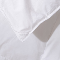 Couette de luxe 100% coton 200TC imperméable chauffée pour hôtel King avec alternative en duvet de polyester pour la maison et les hôtels toutes saisons