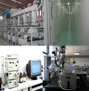 Superfoods hücre duvarı kırık organik <span class=keywords><strong>Chlorella</strong></span> tozu - Product Image 4