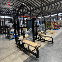 Appareil de musculation 2-en-1 réglable pour tirage vertical assis et entraînement dorsal, avec système de câbles et pile de poids en acier de 70 kg, pour salle de sport à domicile
