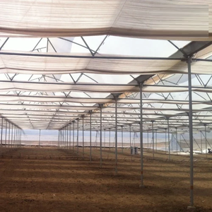 Estructura de Invernadero de Polietileno de Alta Resistencia y Durabilidad con Cubierta Resistente a los Rayos UV para Vegetales, Frutas y Flores - Product Image 6