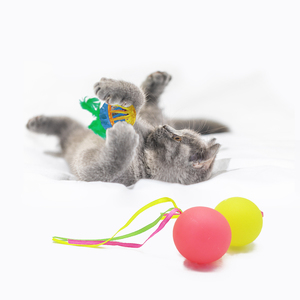 <b>Interactive</b> Glow <b>Cat</b> <b>Toy</b>, Factory Prices Durable and Versatile <b>Cat</b> Glow Ball <b>Toys</b>, Colorful <b>Cat</b> Ball <b>Toy</b> - Product Image 1