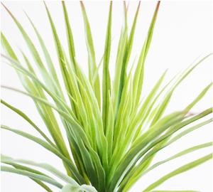 Planta Artificial Personalizada en Maceta, Flores y Plantas Artificiales <span class=keywords><strong>de</strong></span> Alta Calidad, Hierba Realista <span class=keywords><strong>de</strong></span> Colores, Hojas Artificiales Verdes - Product Image 6