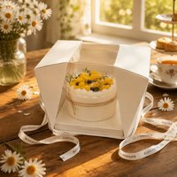 Boîte à gâteau portable transparente avec bandoulière, boîte à gâteau pliable jetable, emballage alimentaire de qualité alimentaire