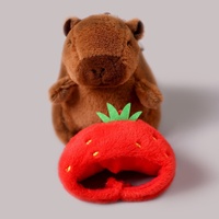 Peluche, figurine, pendentif, breloque pour sac, porte-clés Capybara, prix de machine à grue
