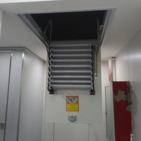 Escaliers de grenier télescopiques pliables modernes et durables, échelles d'extension métalliques de qualité supérieure pour l'accès domestique