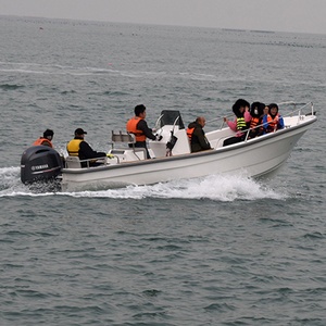 Liya 22 Chân 6.6M Tốt Nhất Sợi Thủy Tinh Thuyền Đánh Cá Panga Thuyền Để Bán <span class=keywords><strong>Perth</strong></span> Úc - Product Image 2