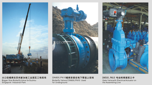 Dsc996 Flens Gietijzeren Omgekeerde Emmer Stoom Val Kleppen - Product Image 4