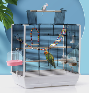 Produsen Besi Pembiakan Logam Besi Tahan Karat Portabel Kecil Burung Beo Lovebird <span class=keywords><strong>Cockatiels</strong></span> Kandang Burung dengan Laci - Product Image 5
