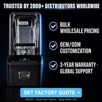 Blender commercial personnalisé OEM, marque privée - 1/3 du prix de Blendtec, mêmes spécifications, moteur DC, lame en acier inoxydable 420, garantie de 3 ans