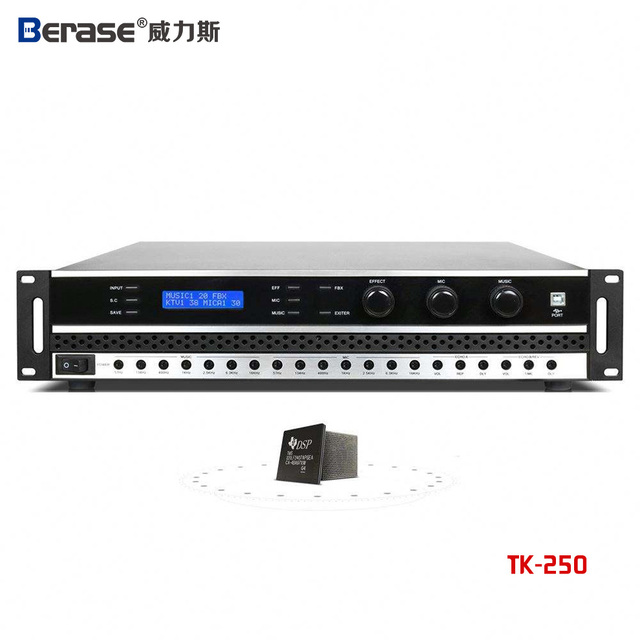 Berase Hot Sell Professional 3 in 1 Power Amplifier 2*500W for Karaoke Speaker TK-250 2 Channel Home Power Amplifier