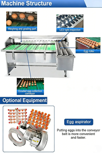 Machine de tri et de lavage automatique des œufs de poulet de haute précision avec ligne de production de plateaux et système d'emballage - Product Image 2