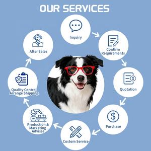 Suplementos Líquidos Probióticos para Cuidado da Saúde de Animais de Estimação OEM Sabor Personalizado Líquido Probiótico para Cães e Gatos Propriedades Antiparasitárias - Product Image 3