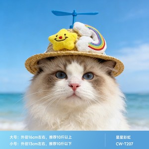 Chapeau de soleil pour animaux de compagnie en forme de canard de dessin animé avec paille décorative et pompons jaunes, protection UV estivale pour chiens et chats - Product Image 2