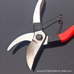 Sécateur papillon 103D en acier au carbone, lame de 45 mm pour la taille des arbres fruitiers et des jardins - Product Image 4